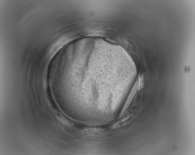 X0000090930291200708131459