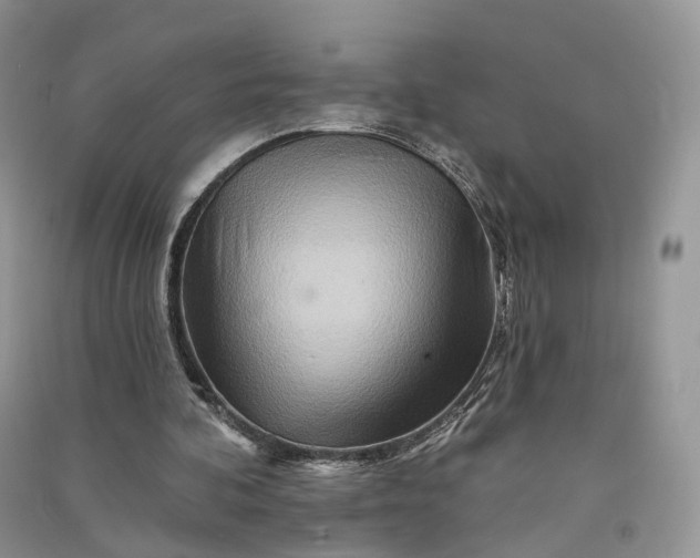 X0000090930292200708131459