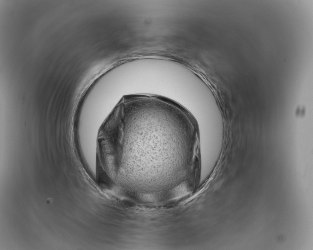 X0000090930293200708131459