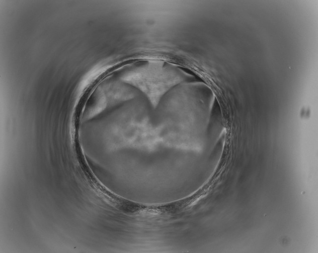 X0000090930294200708131459