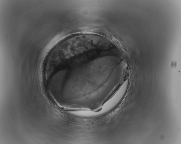 X0000090930295200708131459