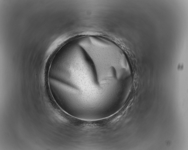 X0000090930296200708131459