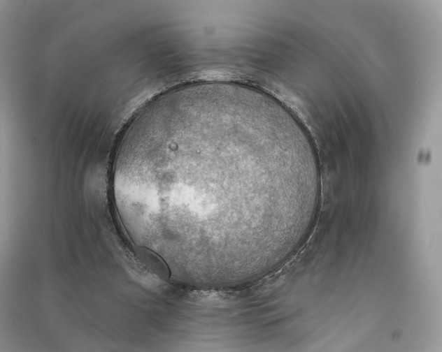 X0000090930297200708131459