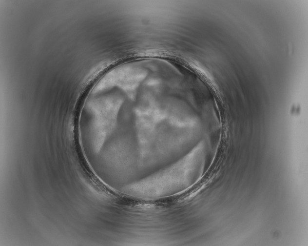 X0000090930298200708131459