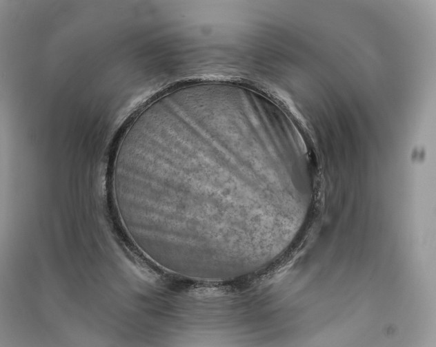 X0000090930299200708131459