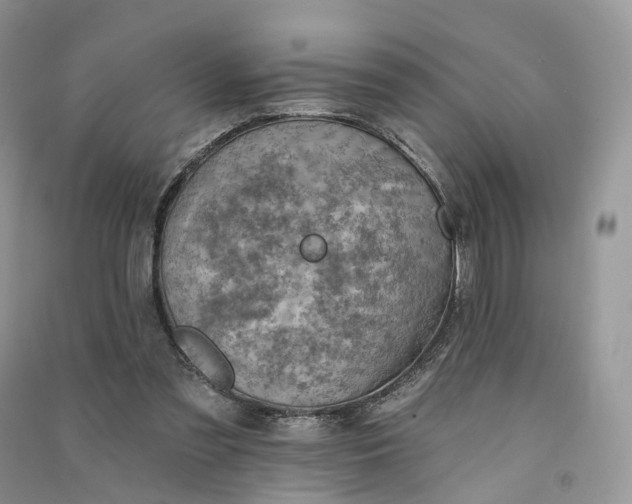 X0000090930301200708131459