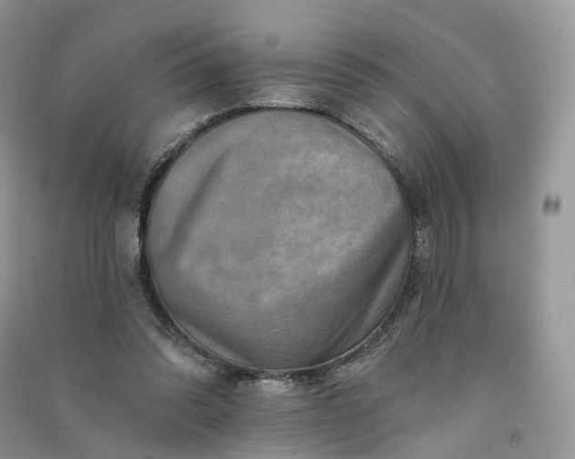 X0000090930302200708131459