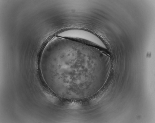 X0000090930303200708131459