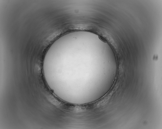 X0000090930305200708131459