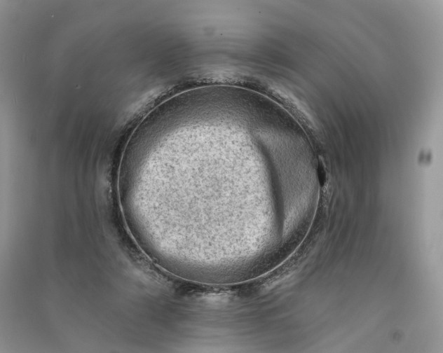 X0000090930306200708131459