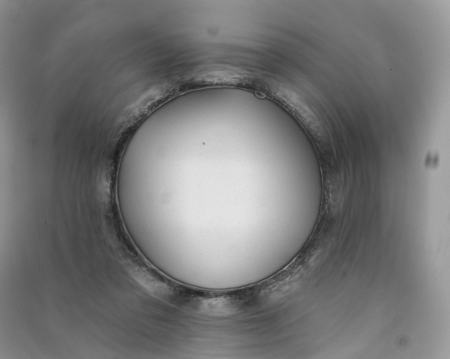 X0000090930309200708131459