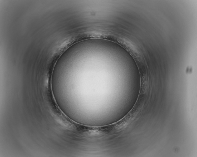 X0000090930310200708131459