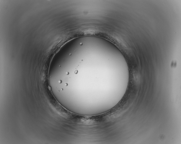 X0000090930311200708131459