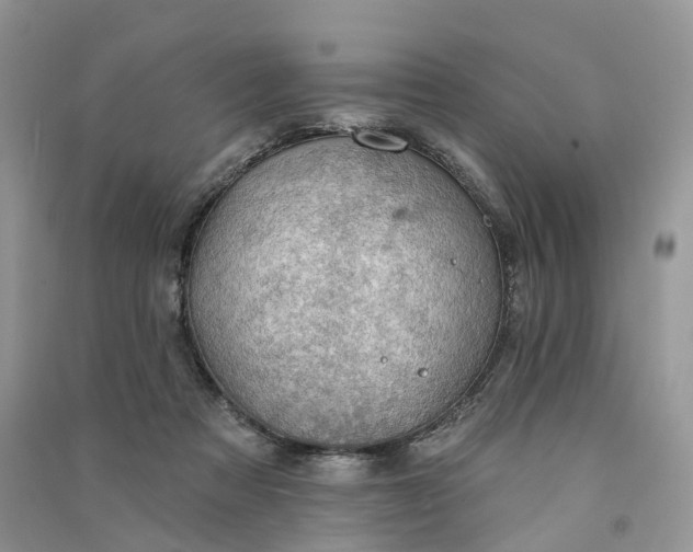 X0000090930313200708131459