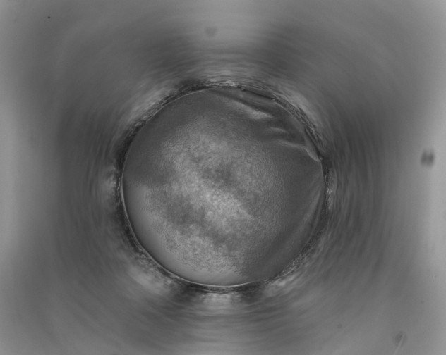 X0000090930314200708131459