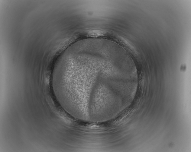 X0000090930315200708131459