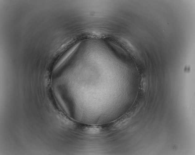 X0000090930318200708131459