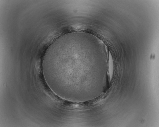 X0000090930319200708131459