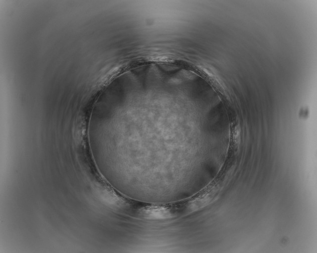 X0000090930322200708131459