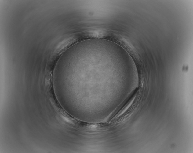 X0000090930325200708131459