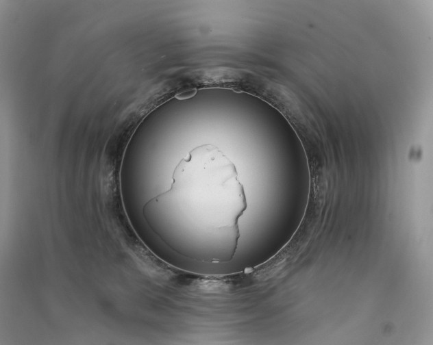 X0000090930327200708131459