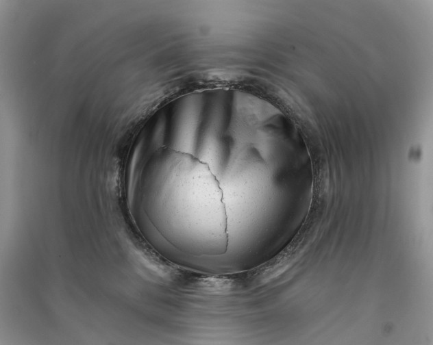 X0000090930328200708131459