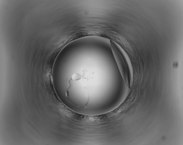 X0000090930329200708131459