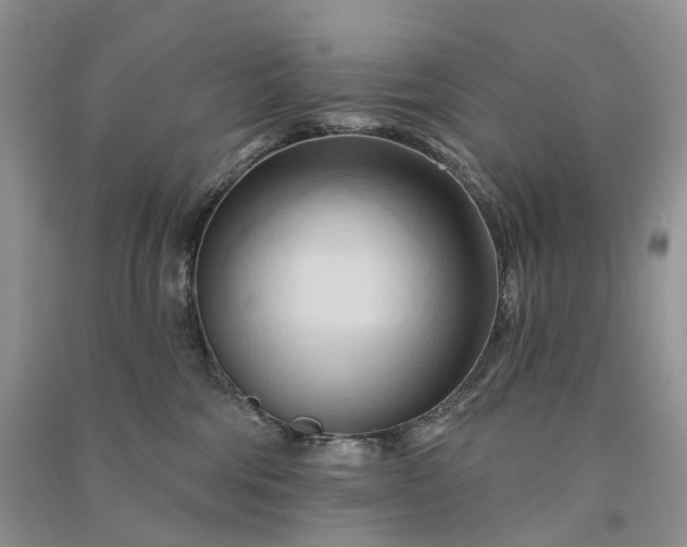 X0000090930330200708131459