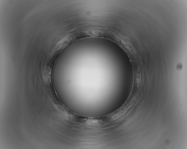 X0000090930332200708131459