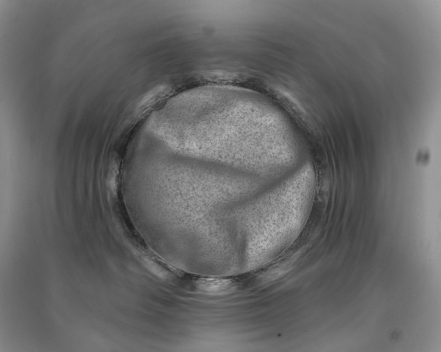 X0000090930334200708131459