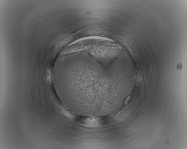 X0000090930335200708131459