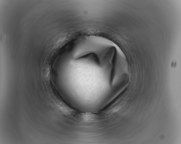 X0000090930336200708131459