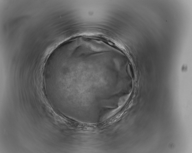 X0000090930337200708131458