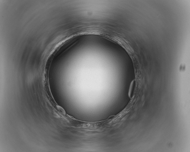 X0000090930338200708131458