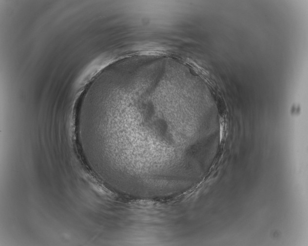 X0000090930339200708131458