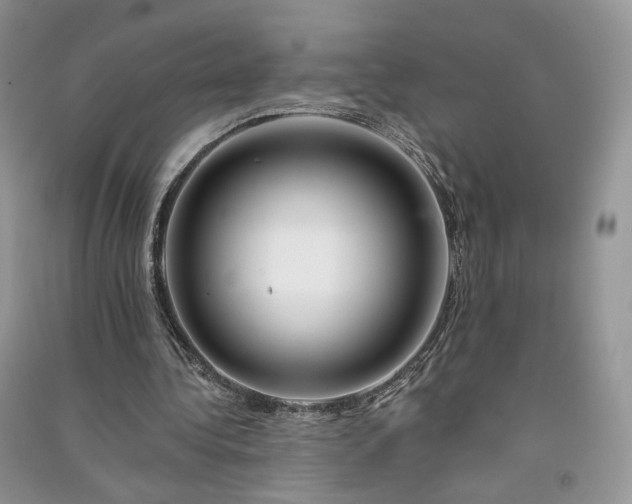 X0000090930340200708131458