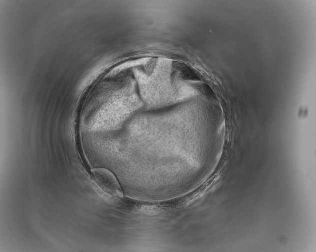 X0000090930341200708131458