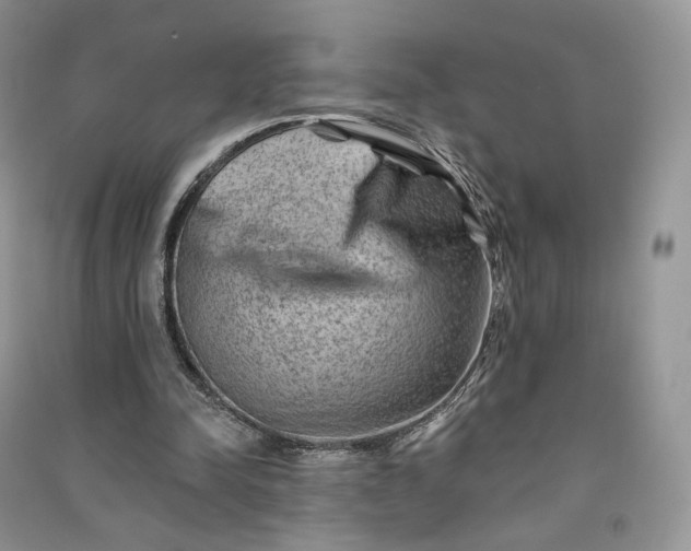 X0000090930342200708131458