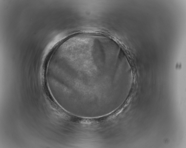 X0000090930343200708131458