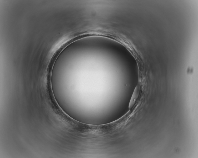 X0000090930344200708131458