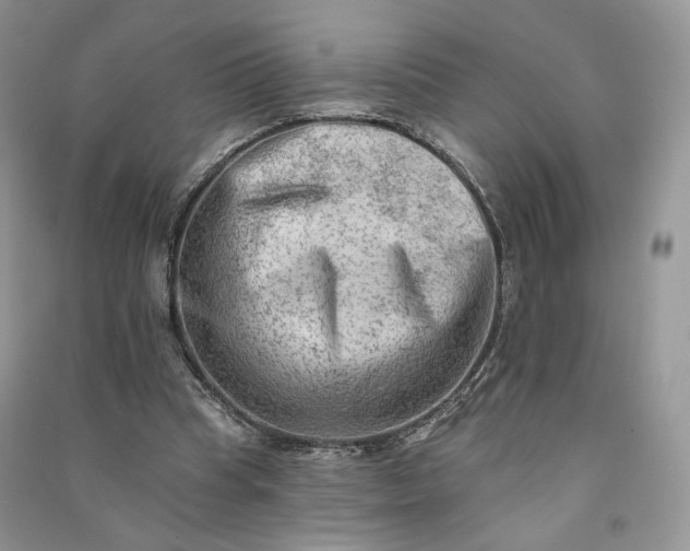 X0000090930345200708131458