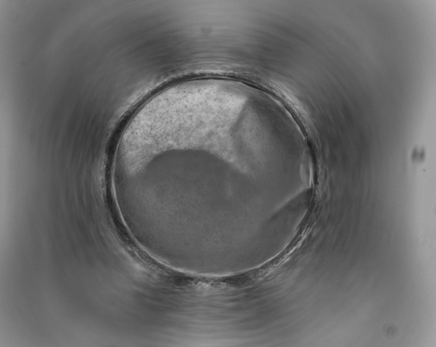 X0000090930346200708131458