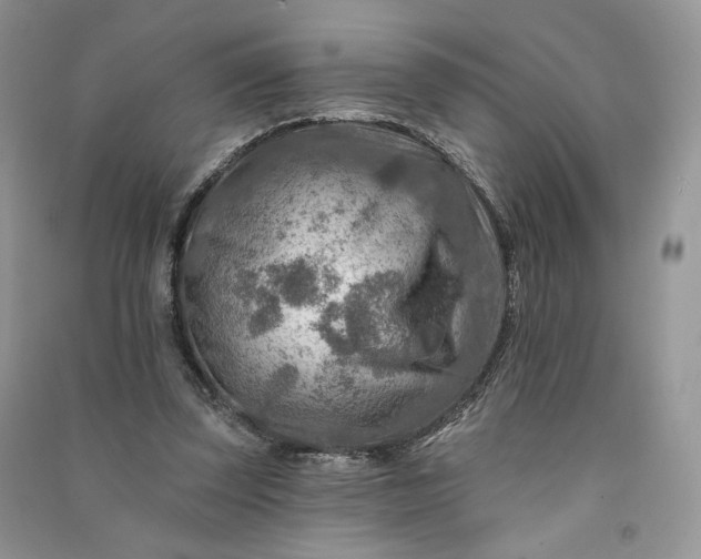 X0000090930347200708131458