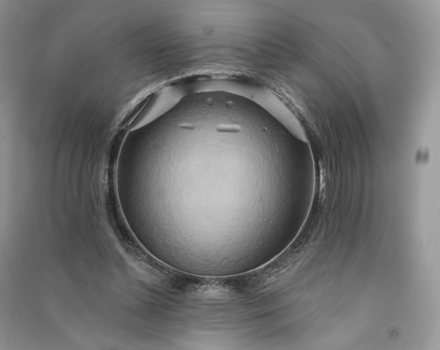 X0000090930348200708131458