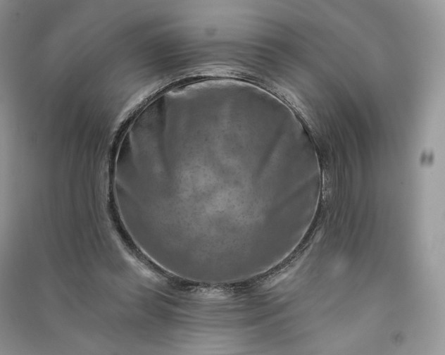 X0000090930349200708131458