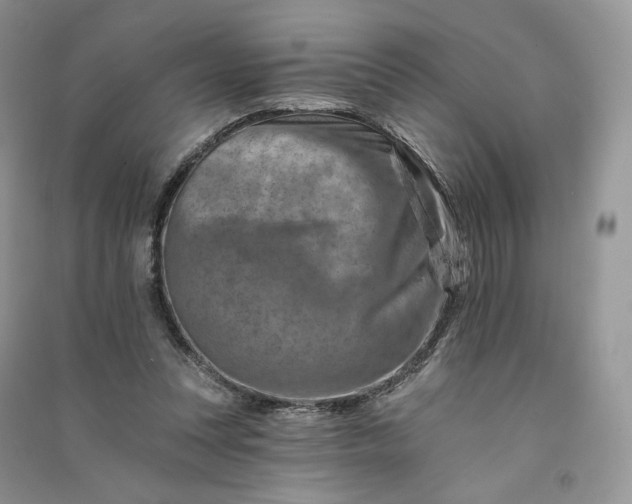 X0000090930351200708131458