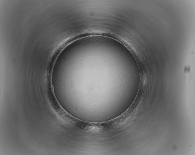 X0000090930352200708131458