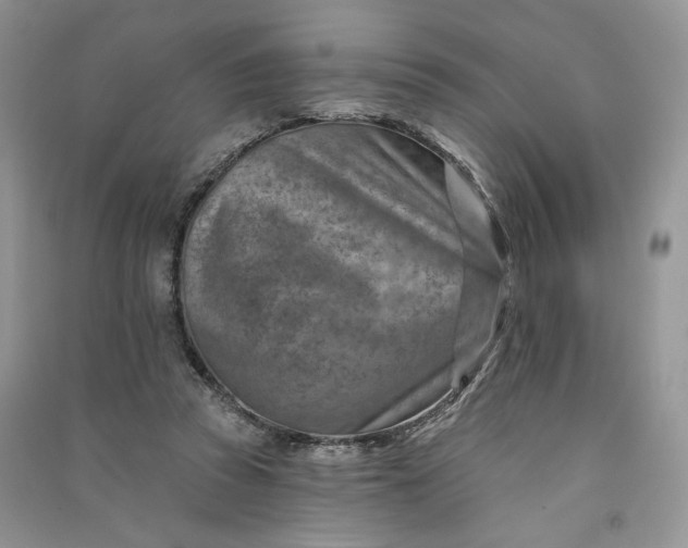 X0000090930353200708131458