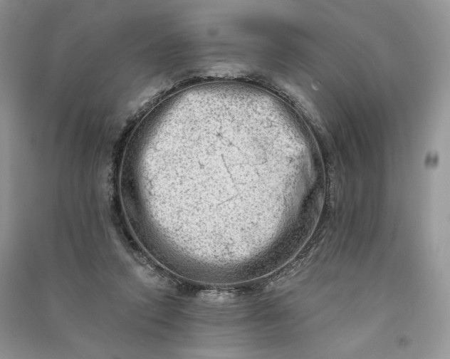 X0000090930354200708131458