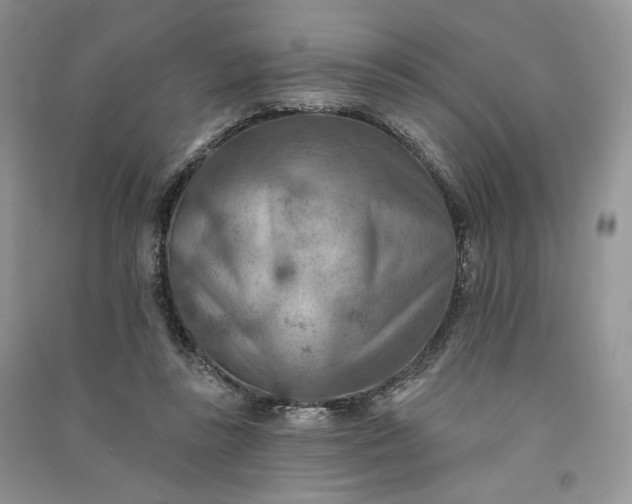 X0000090930355200708131458